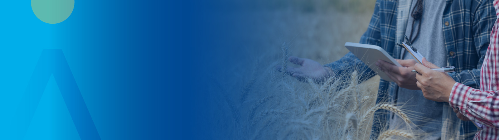 Bayer Crop Science Division<br>...One Year Later